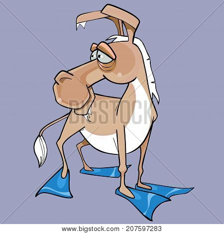 cartoon funny animal is a donkey in fins on each foot