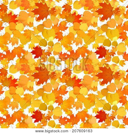 Foliage Seamless Pattern