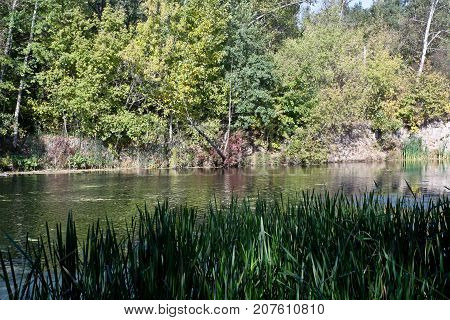 Autumn river landscape - a good screensaver for the gadget.