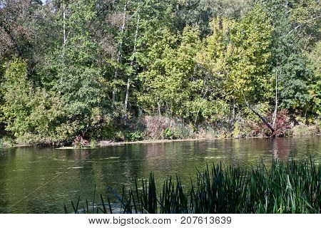 Autumn river landscape - a good screensaver for the gadget.