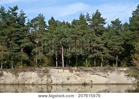 Autumn river landscape - a good screensaver for the gadget.