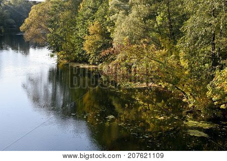 Autumn river landscape - a good screensaver for the gadget.