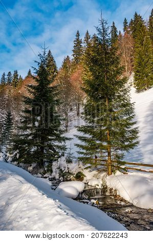 brook with cascade in winter spruce forest on a bright day. lovely nature scenery with lots of snow on hillsides