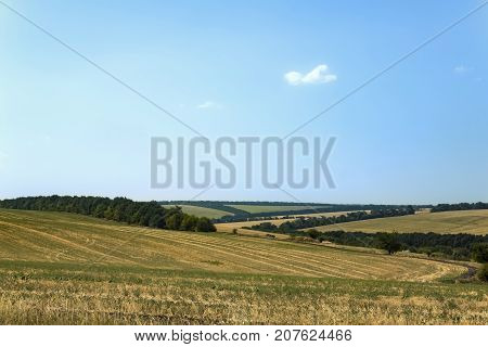 Stubble field with a blue sky in the summer. Hills and forest belt.