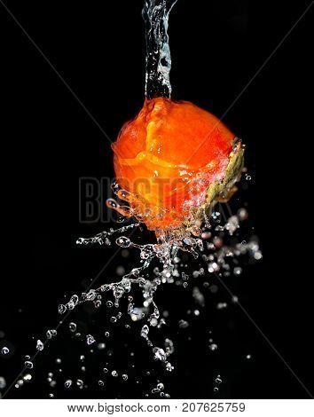 persimmon in water on a black background