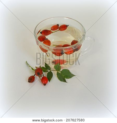 Decoction with dog rose in a cup Rosehip