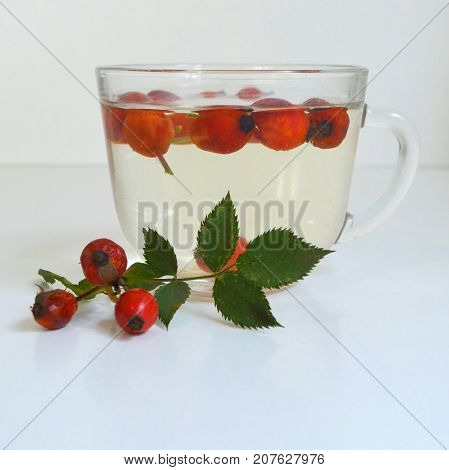 Decoction with dog rose in a cup Rosehip