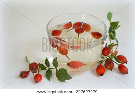 Decoction with dog rose in a cup Rosehip