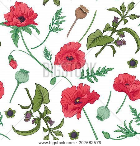 Seamless pattern, background with red opium poppy and belladonna. Stock line vector illustration.