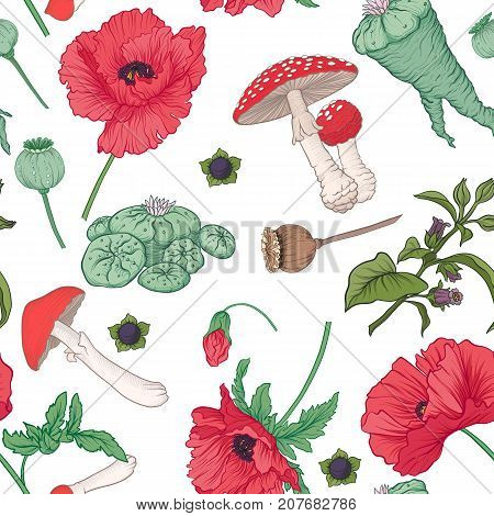 Seamless pattern and, background with red opium poppy and amanita mushroom and ophophora. Stock line vector illustration.