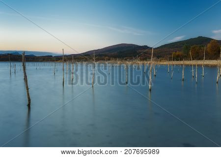 Dead trees in the lake in Alava