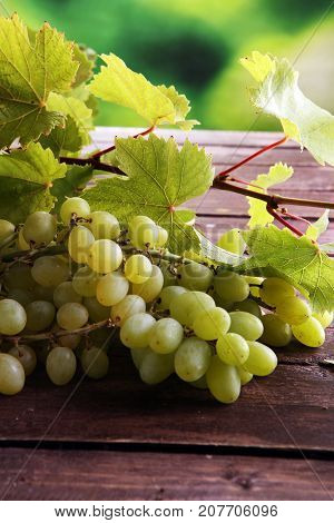 Grapes on wooden table and grape leaves . Healthy fresh fruit wine grapes.