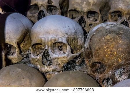 Skulls and bones from the charnel house