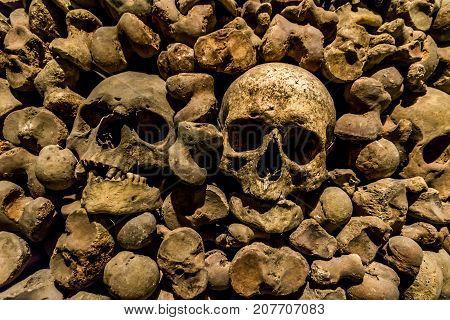 Skulls and bones from the charnel house