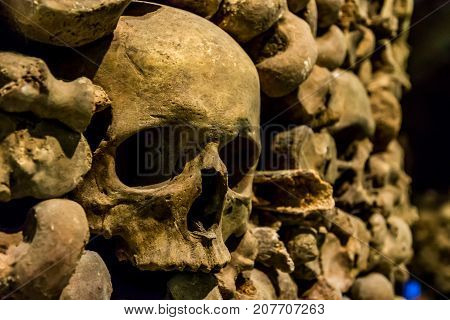 Skulls and bones from the charnel house
