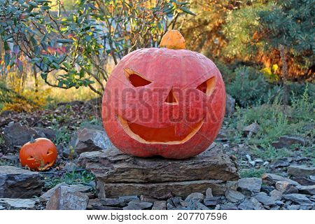 Halloween pumpkin at a botanical garden (Czech republic)