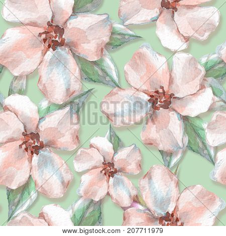Floral seamless pattern. Watercolor background with delicate flowers 11