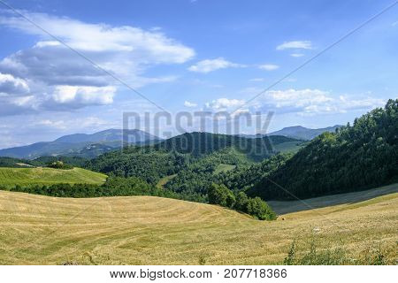 Summer landscape along the road from Lunano to Urbania (Montefeltro Pesaro Urbino Marches Italy)