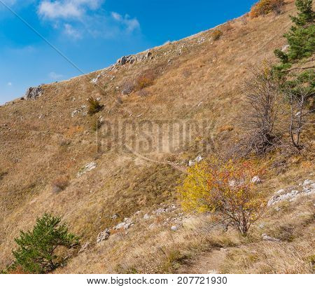 Hiking path on a mountain pasture Demerdzhi at fall season Crimean peninsula