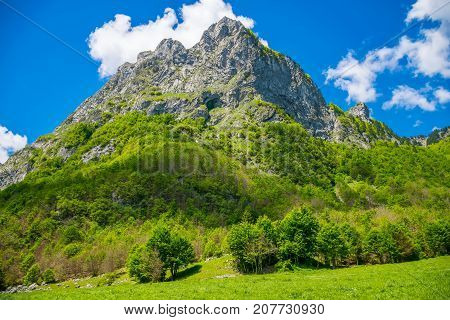 Scenic Green Meadow On The Background Of High Peaked Rocks.