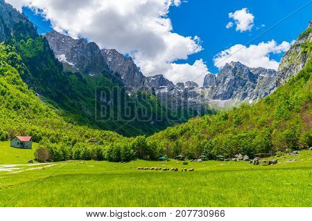 Scenic Green Meadow On The Background Of High Peaked Rocks.