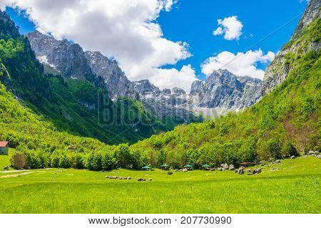 Scenic Green Meadow On The Background Of High Peaked Rocks.