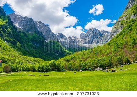 Scenic Green Meadow On The Background Of High Peaked Rocks.