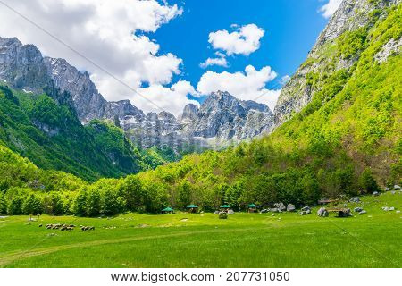 Scenic Green Meadow On The Background Of High Peaked Rocks.