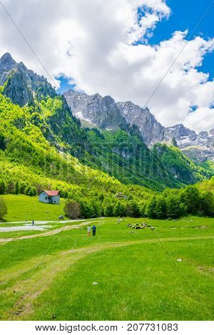 Scenic Green Meadow On The Background Of High Peaked Rocks.