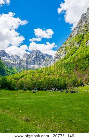 Scenic Green Meadow On The Background Of High Peaked Rocks.