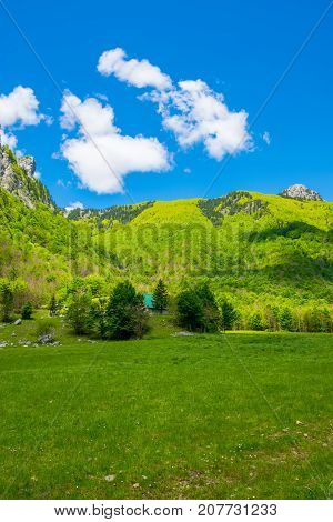 Scenic Green Meadow On The Background Of High Peaked Rocks.