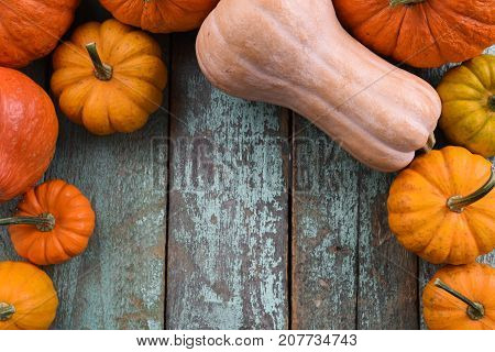 Stillife of bright orange pumpkins and butternut squashes on blue wooden table above view copyspace. Harvest festival Thanksgiving symbol