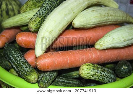 materials needed to make pickles and vegetables,
pictures of vegetables for pickling, pictures of gherkin, pepper, melon, carrot, cucumber and garlic