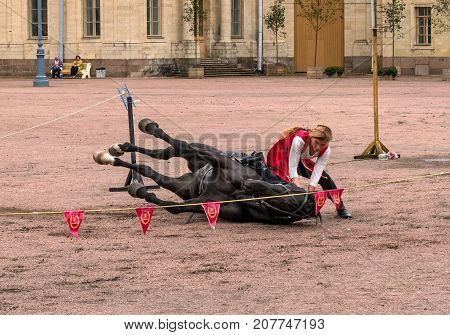 Gatchina St. Petersburg Russia - September 30 2017: Horse show of Cossacks on the parade ground of the Gatchina Palace. The young Cossack team put the horse on its side.