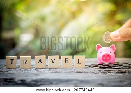 Business concept hand putting coins in pink piggy bank for travel