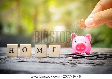 Business concept hand putting coins in pink piggy bank for home
