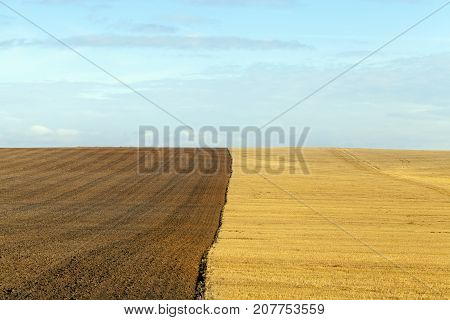 Photo Of A Wheat Farming Field, Half Of Which Is Plowed For The Winter And Prepared For Planting A N