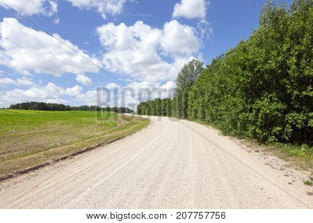 Sandy Road Through Fields With Corn And Forest. Spring Landscape
