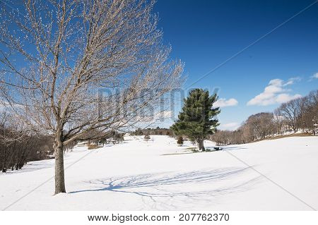 snow-covered park on a sunny day. golf fields under the snow. Copy space for your text