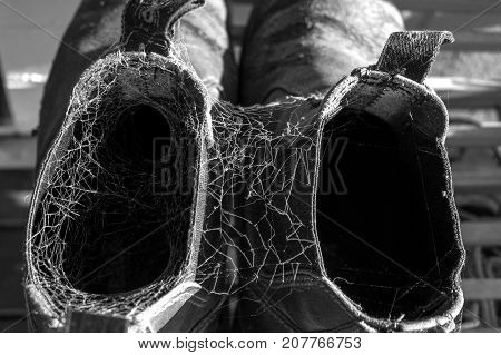 Old Redback workboots now home to spiders