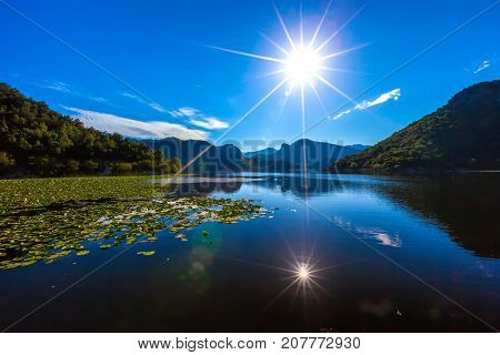 The bright sun is reflected in the Skadar Lake, overgrown with water lilies. Montenegro. Photo taken at Skadar Lake Podgorica region.