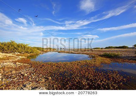Manqua de Bonaire
