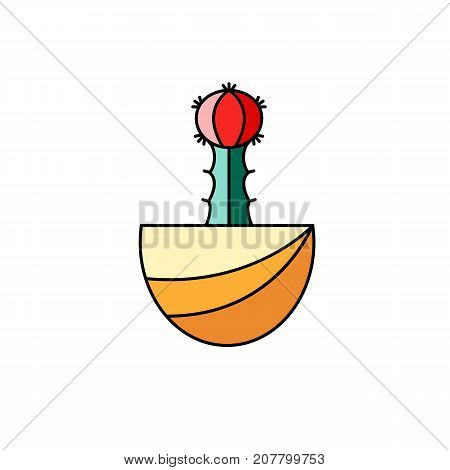 Chin cactus flat line illustration in red and green colors. Vector stylized illustration of potted dwarf cacti on white isolated background.