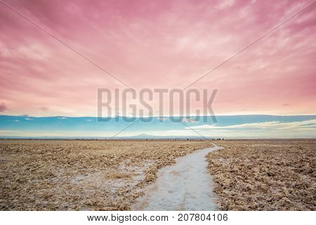 View on Salt landscape by Lagoon cejar in the Andesof the Altiplano of Bolivia
