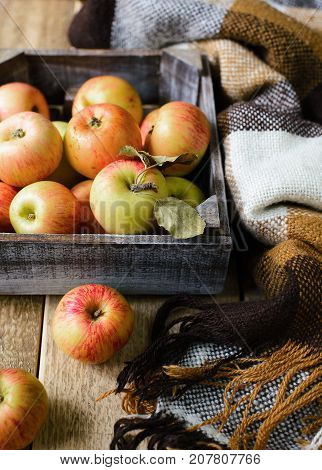 Box with ripe apples and cinnamom on wooden background. Copy-space