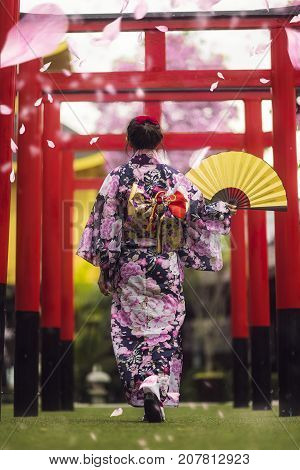 Japan lady in kimono walk in the temple with sun light and Sakura flower background Japan travel kimoni woman lady sakura concept