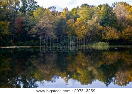 Autumn Rechka Psel - will be an excellent gadget screensaver