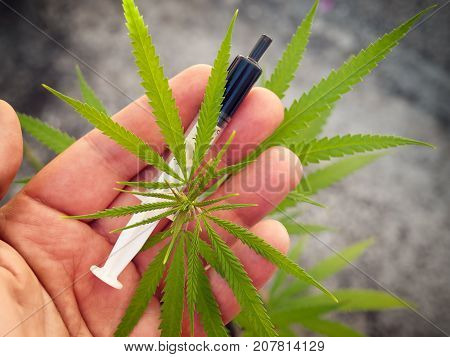 Syringe with Cannabis or Hemp oil on a palm.