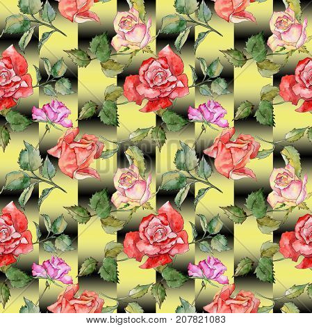 Wildflower rose flower pattern in a watercolor style. Full name of the plant: rose. Aquarelle wild flower for background, texture, wrapper pattern, frame or border.