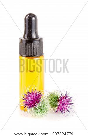 burdock oil in glass bottle and burdock flowers isolated on white background.